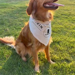 Bandana